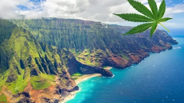 Hawaii Medical Marijuana Caregiver Ban: ‘Government Failure’ Sparks Crisis, Threatening Thousands