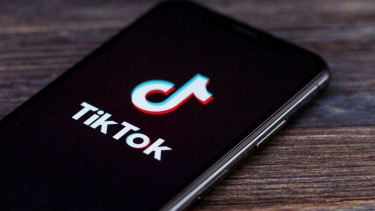 Tesla Bull Ross Gerber Demands TikTok Ban Calling It A ‘National Security Risk’ Amid Reports That Elon Musk May Buy It