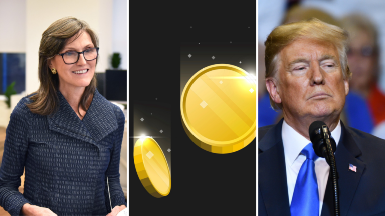 Cathie Wood Passes On Trump Meme Coin, Poll Shows Investors Split With 58% Saying This